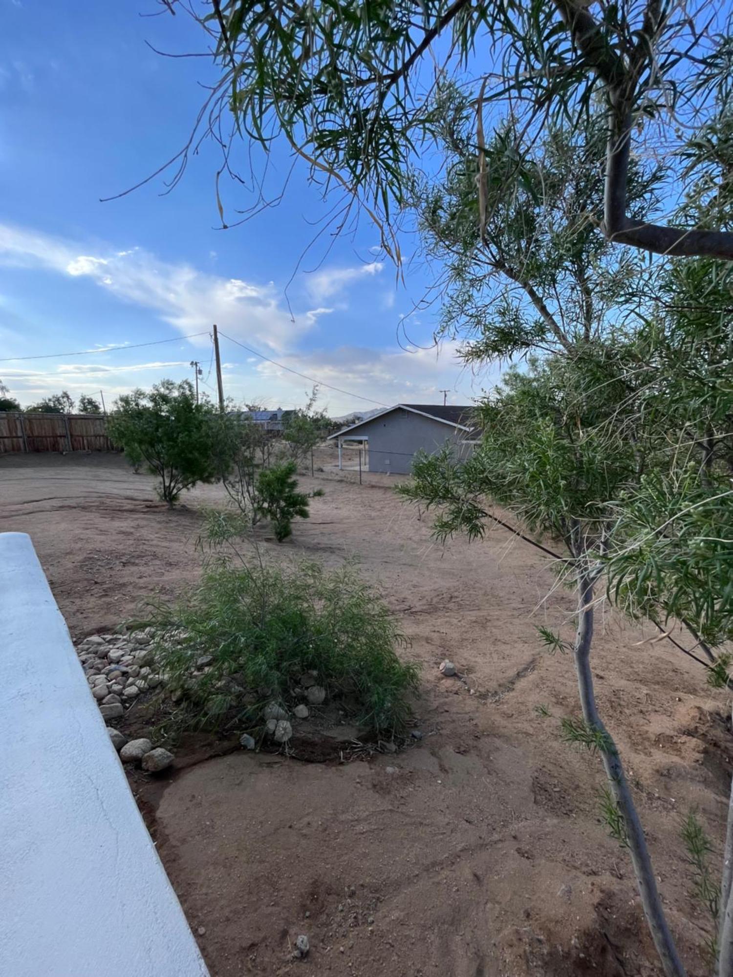 Villa The Joshua Tree House Esterno foto