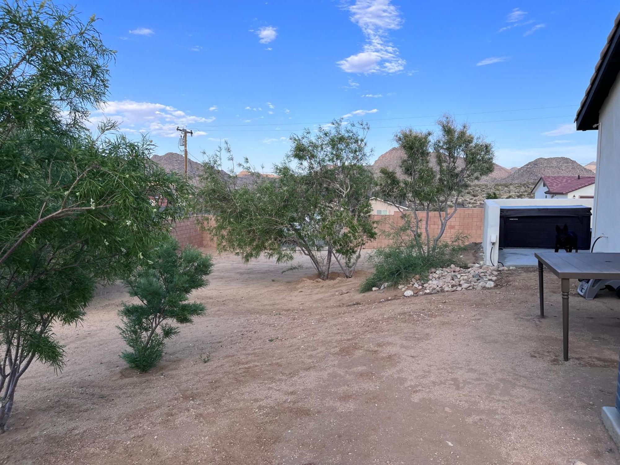 Villa The Joshua Tree House Esterno foto