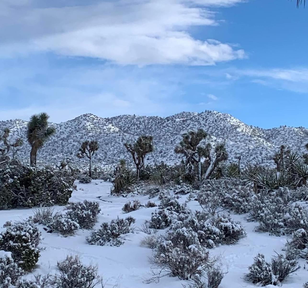 Villa The Joshua Tree House Esterno foto