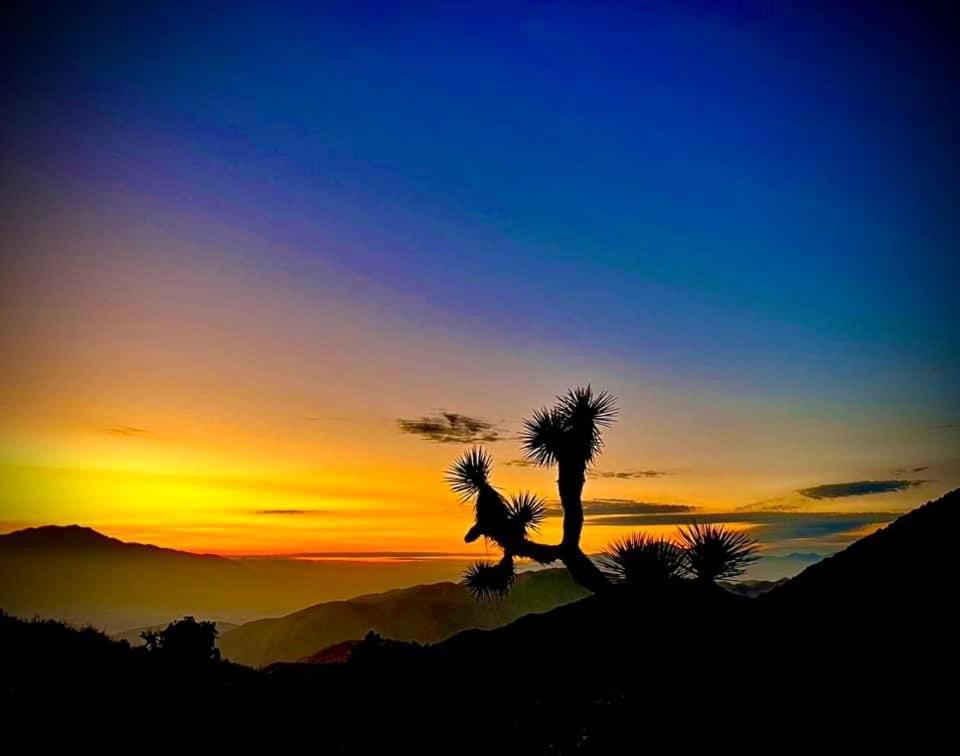 Villa The Joshua Tree House Esterno foto